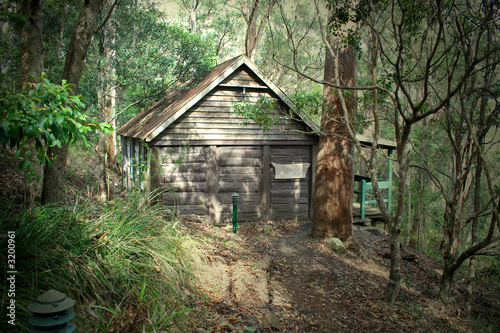 Fotografie old log cabin 1