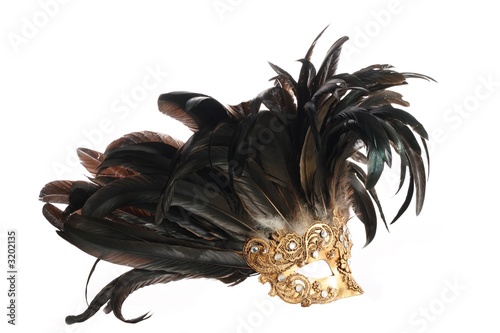feathered mask