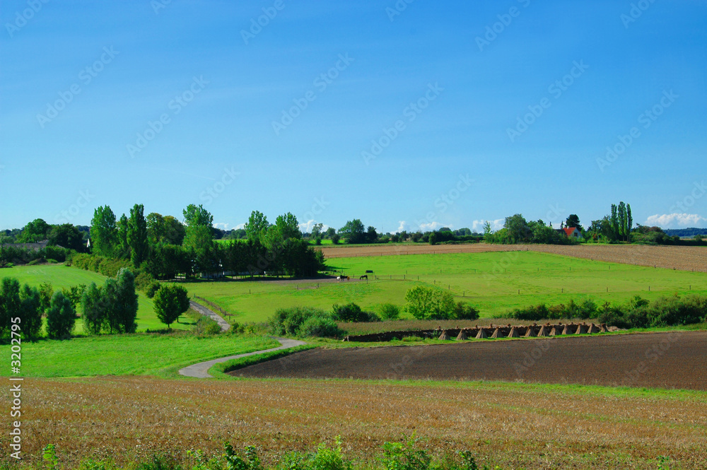 idyllic farm landscape
