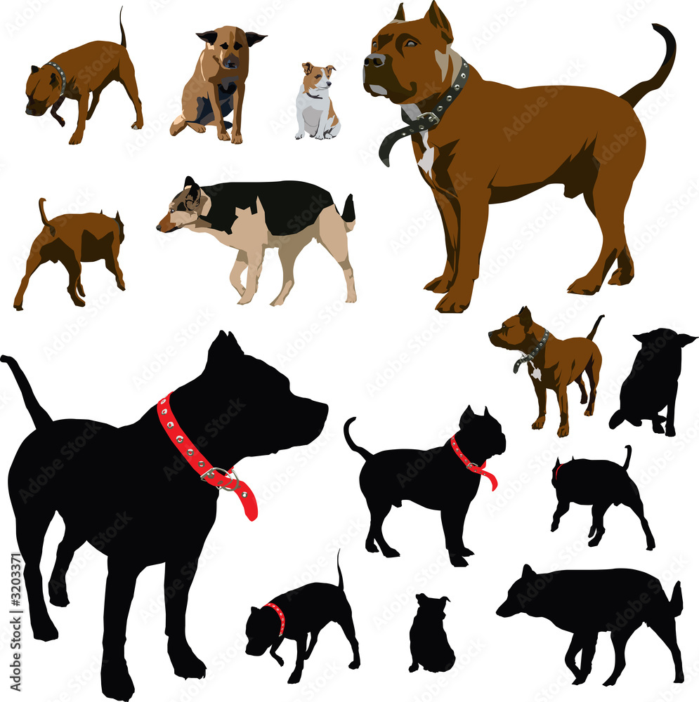 dog illustrations and silhouettes