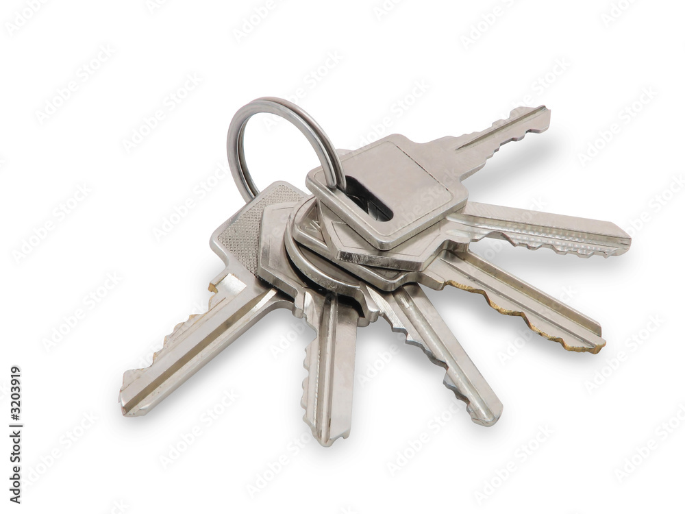 the keys. the keys.