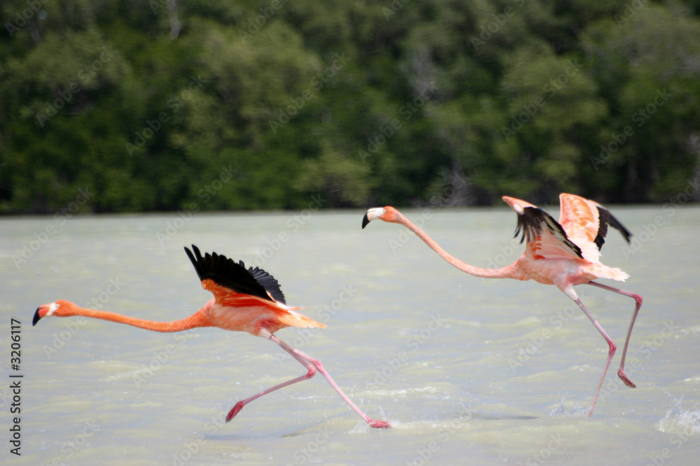Fototapeta premium mexico