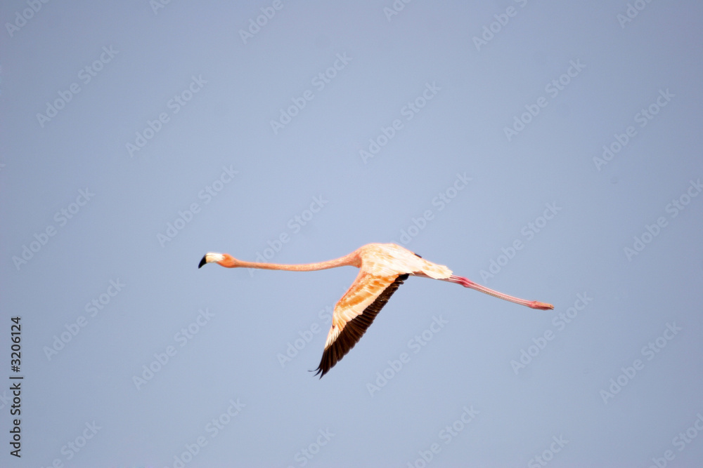 Obraz premium mexico