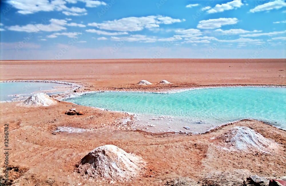 Fototapeta premium salt desert - chott el jerid - tunisia