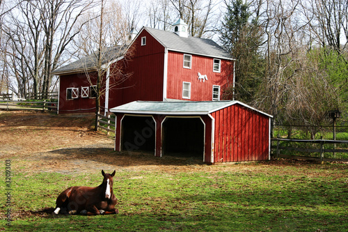 horse & stable