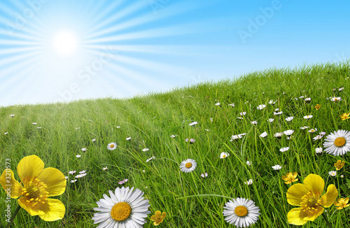 Prairie Soleil Ciel bleu photo