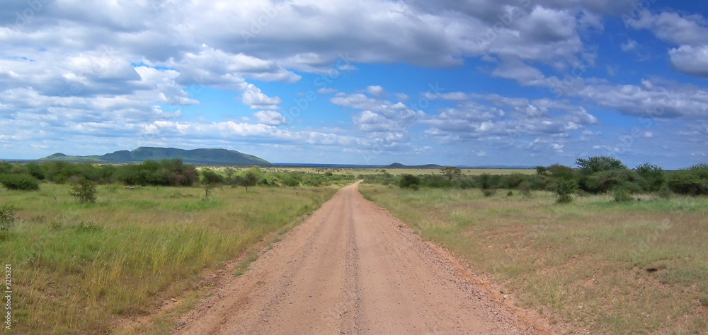 Fototapeta premium a lonely road track on the deep african savanna, serengeti park,
