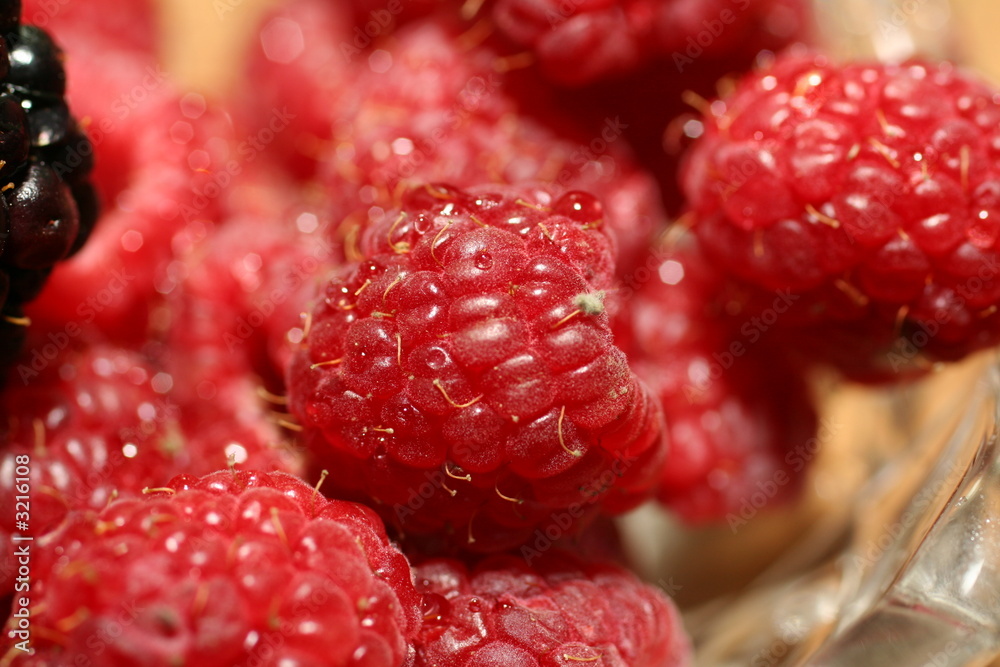 rasberries rasberries