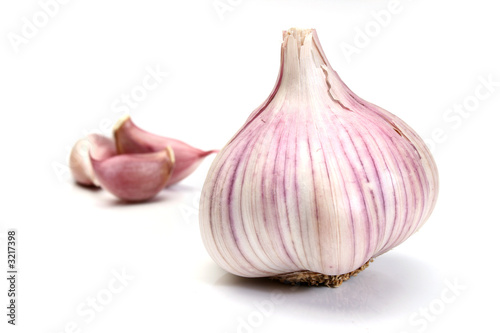 garlic over a white background