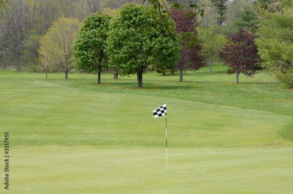 Obraz premium putting green