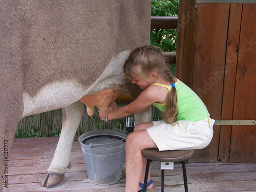 cow and girl 02