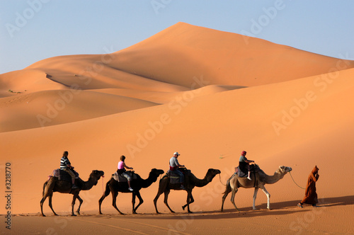 Obraz na plátně camel caravan in the sahara desert