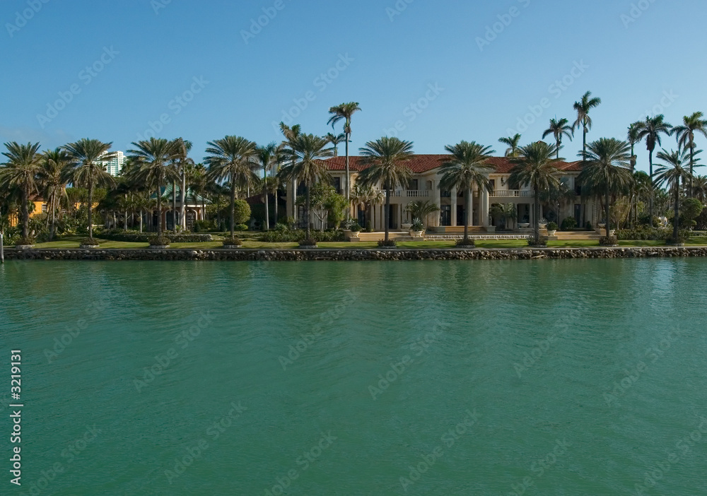 mansion with palms by the sea