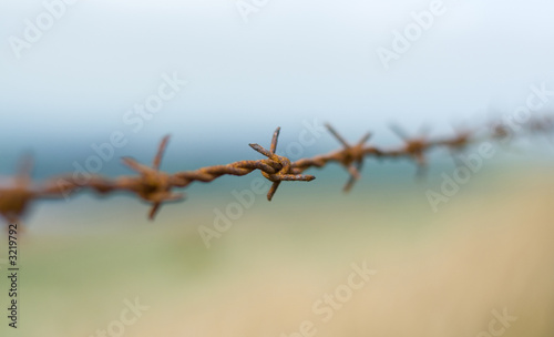 barb wire, close up, rust, blur © Michal Kowalski