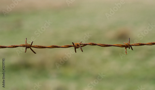barb wire, close up, rust © Michal Kowalski