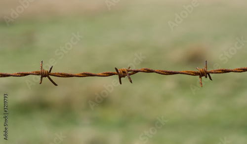 barb wire, close up, rust