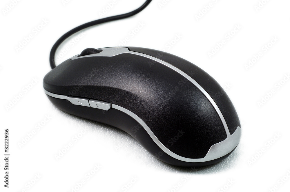 stylish computer mouse