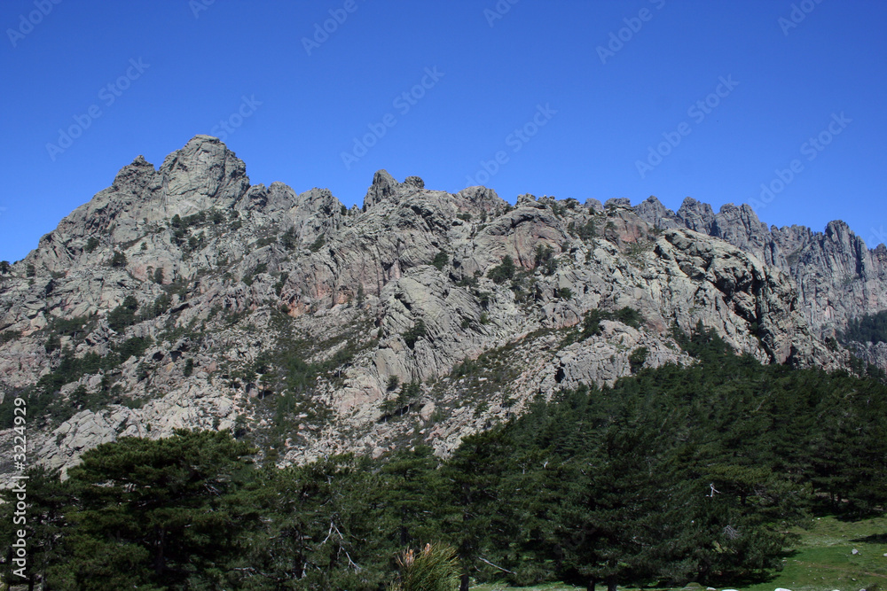 corse corse