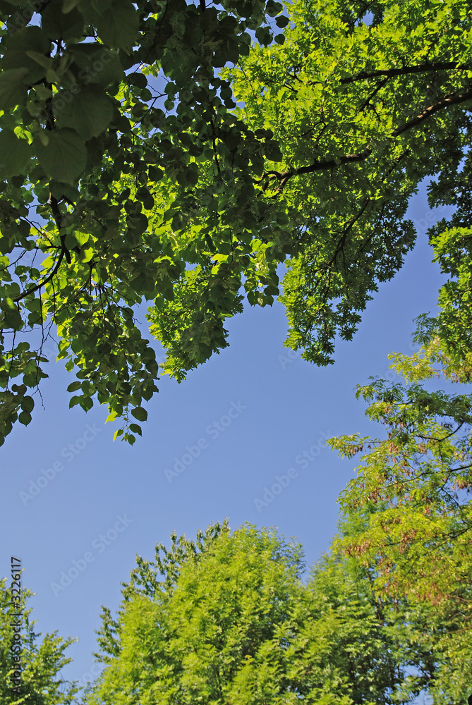 natural frame natural frame