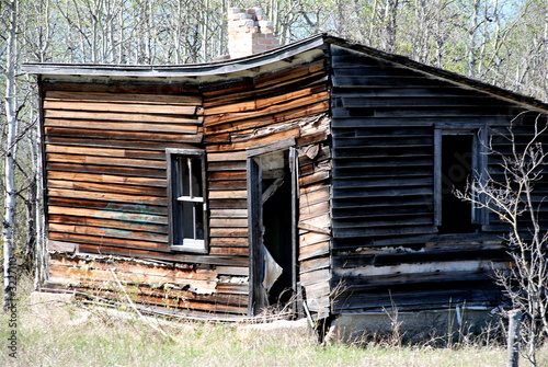 derelict cabin