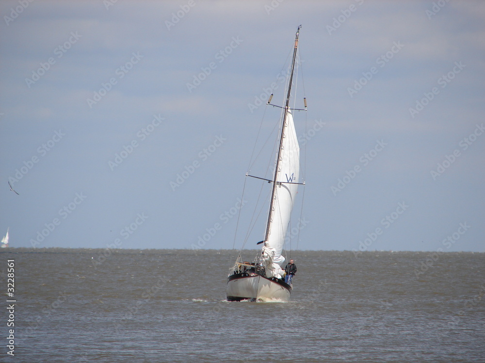 Obraz premium slightly tilted sail boat in the gulf of mexico