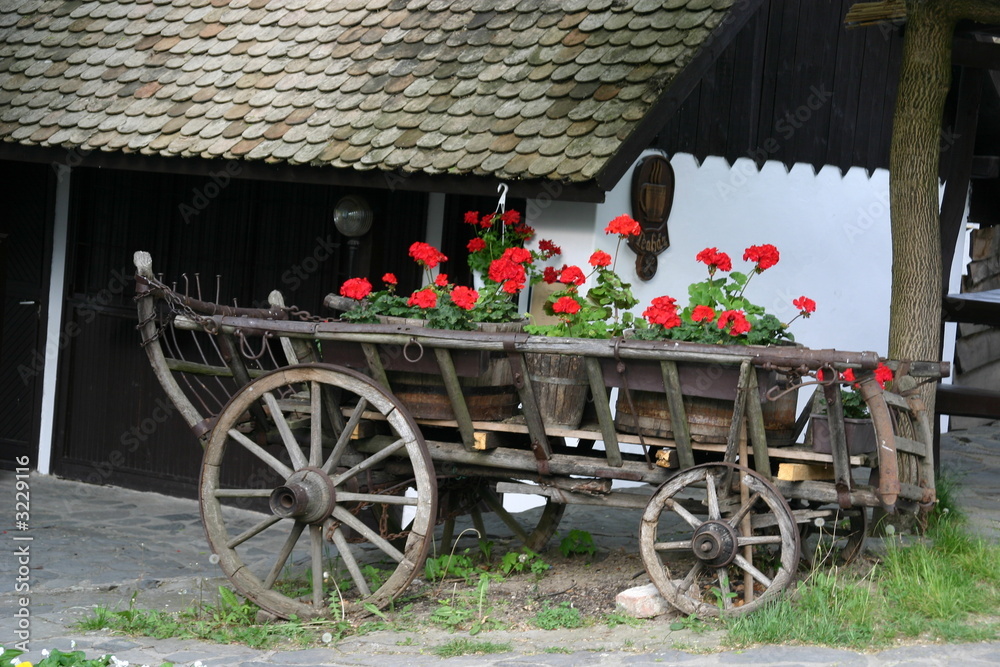 Obraz premium holloko village waggon