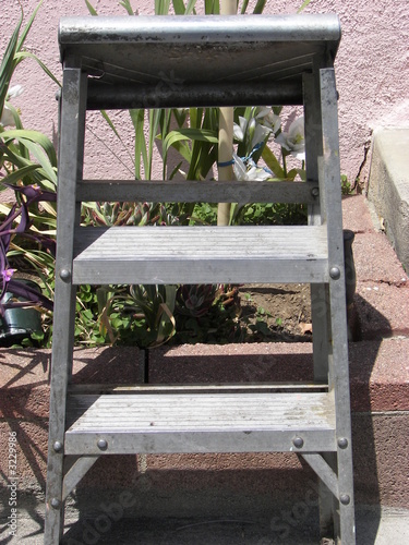 ladder