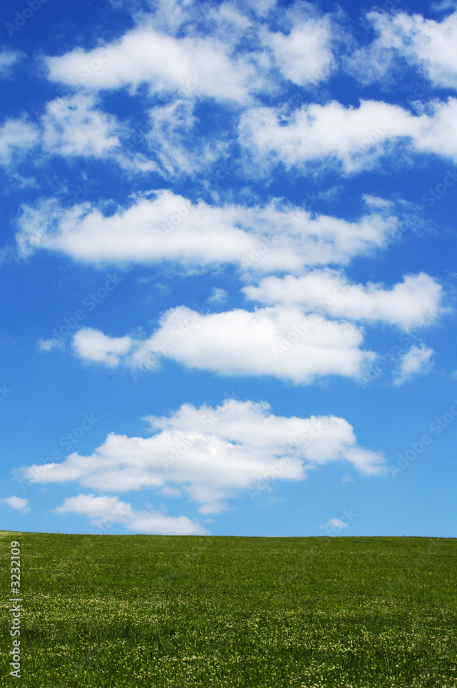 Himmel mit Wolken und  unten eine Wiese im Sommer