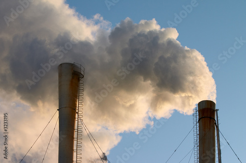 ecology and pollution