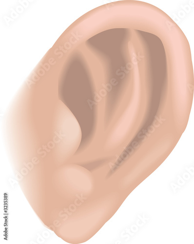 body parts ear