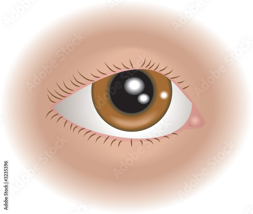 body parts eye