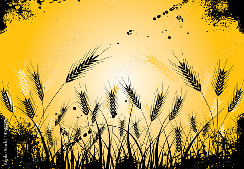 grunge grass and ears