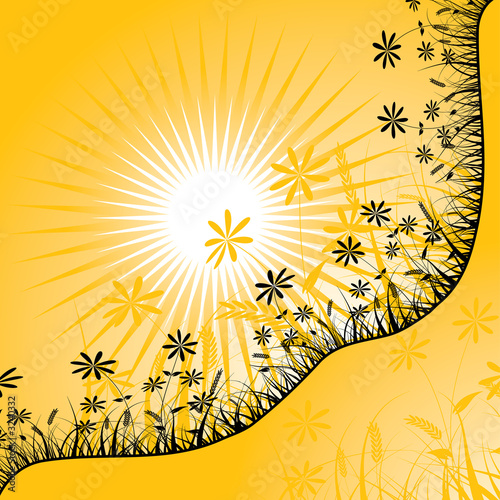 sunset and flower