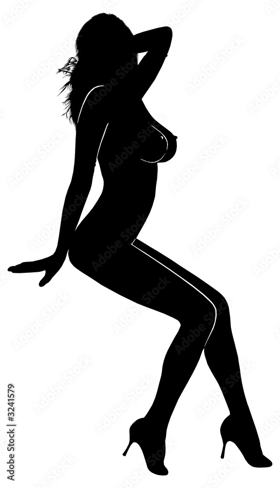 woman silhouette-012 - obrazy, fototapety, plakaty 