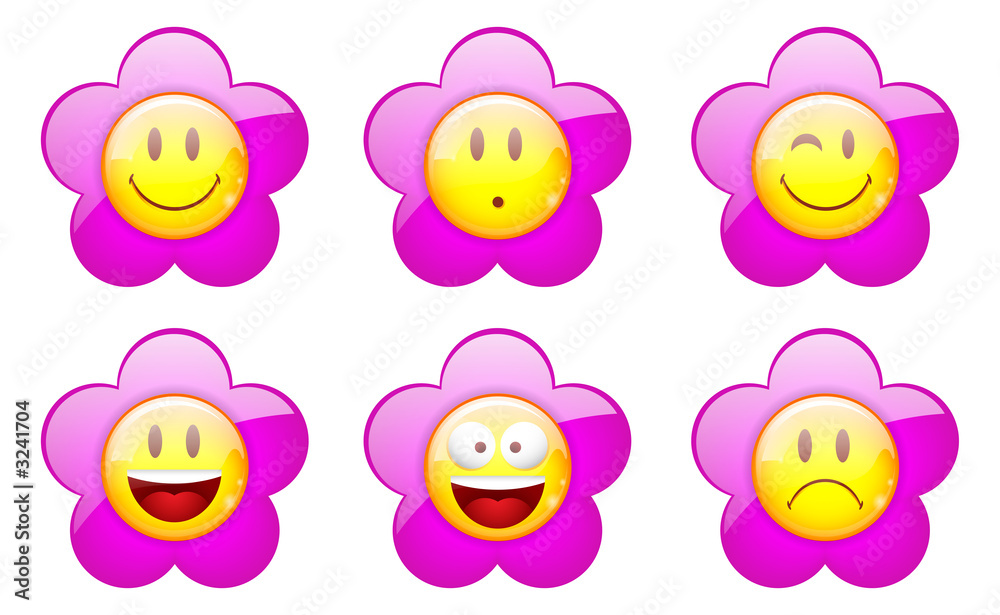 kit de smiley fleur kit de smiley fleur