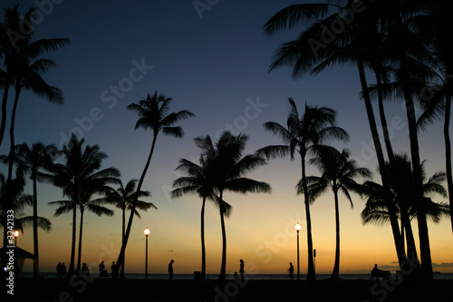 palms at dusk © Rafael Ramirez