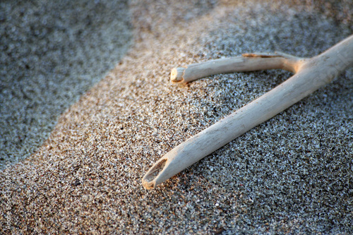 sabbia con legno legnetto vicino al mare battigia photo