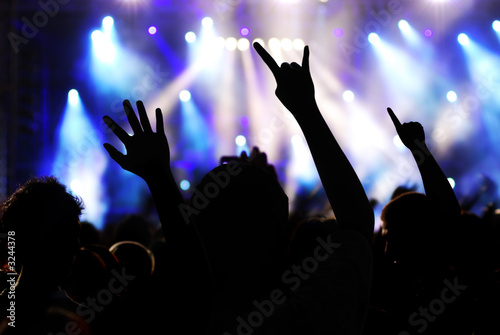 rock crowd