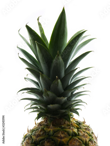 pineapple top