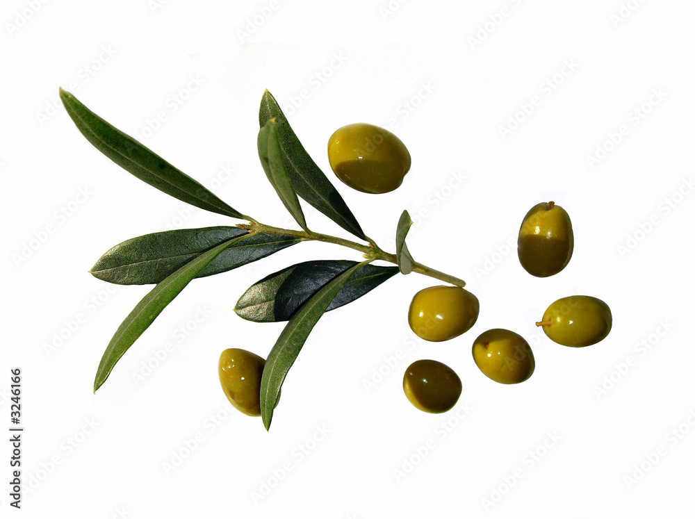 olive verte Stock Photo Adobe Stock