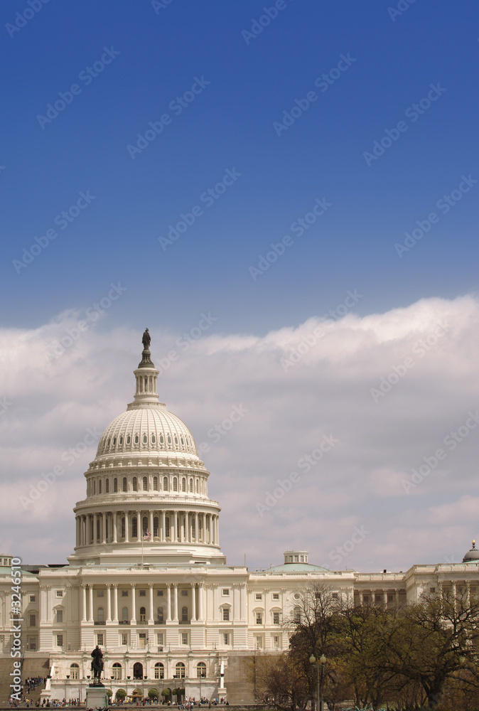 united states capitol vertical