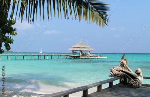 Fototapeta Naklejka Na Ścianę i Meble -  ponton sur le lagon aux maldives