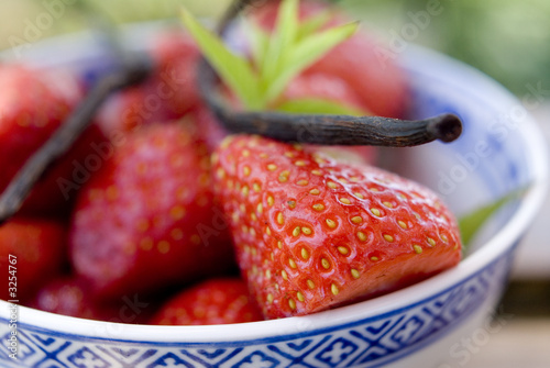 fraise3