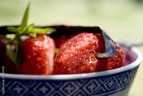 fraise4