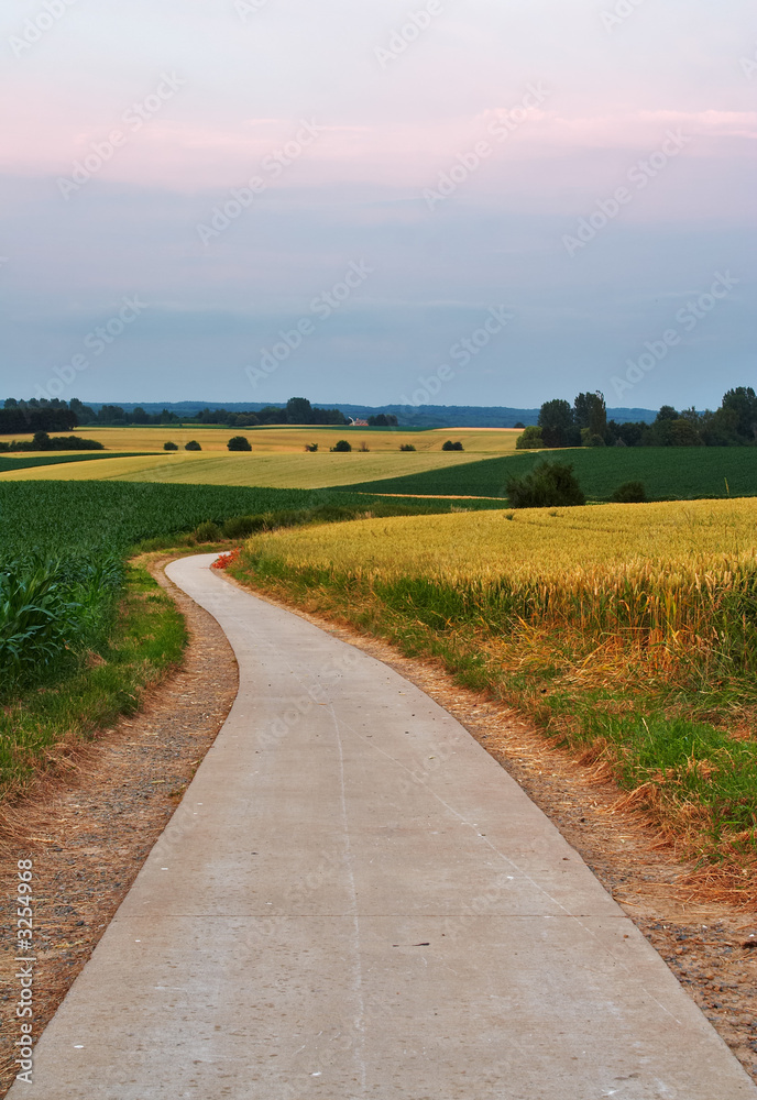 evening fields