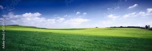 russia summer landscape - green fileds, the blue sky and white c