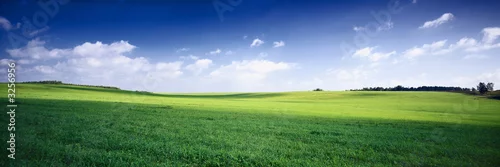 Panel kuchenny z motywem russia summer landscape - green fileds, the blue sky and white c