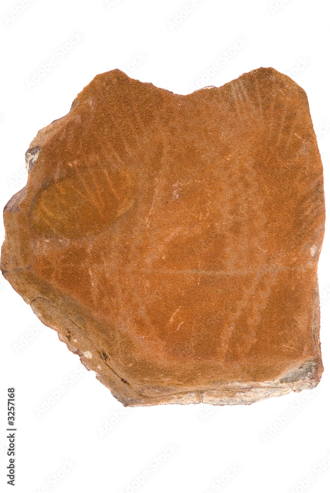 incised stone incised stone