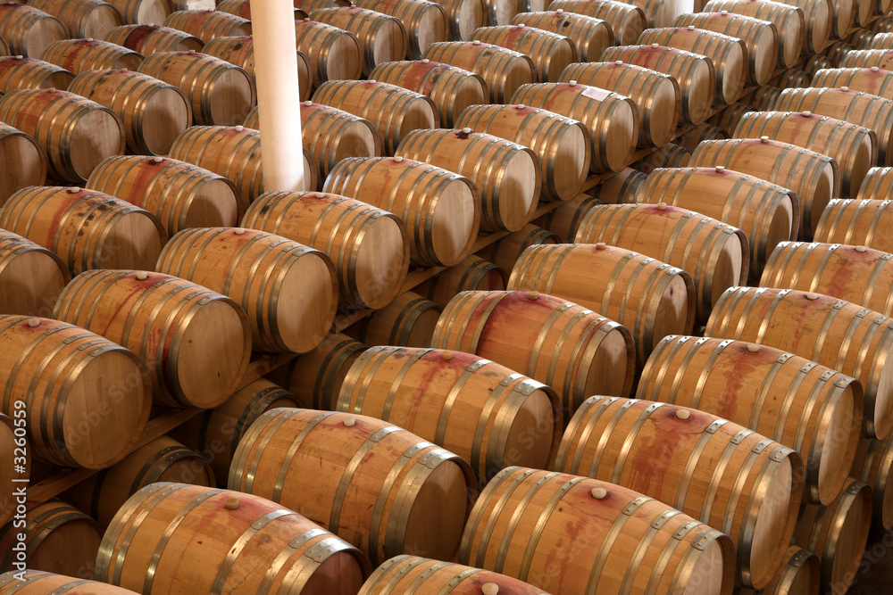 oak barrels maturing red wine and brandy