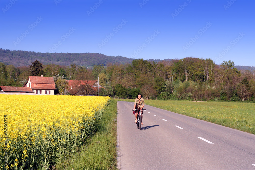 Fototapeta premium sunny road